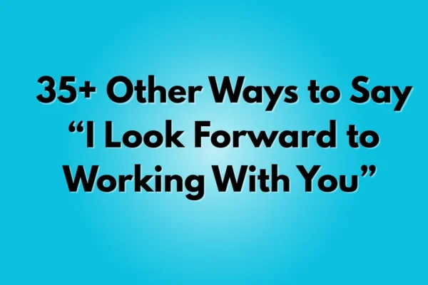 I Look Forward to Working With You