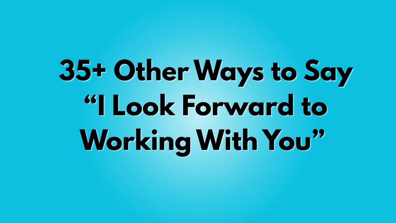 I Look Forward to Working With You