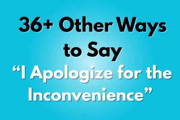 I Apologize for the Inconvenience