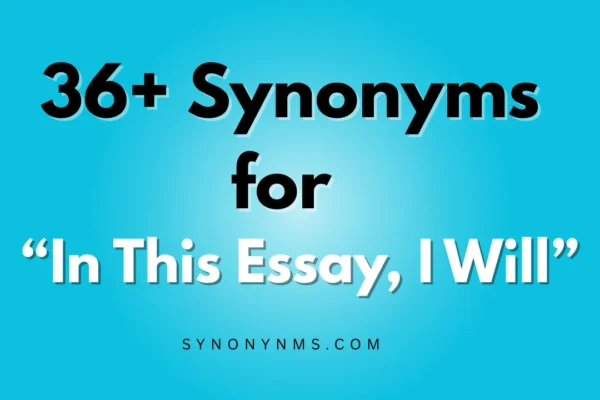 In This Essay, I Will