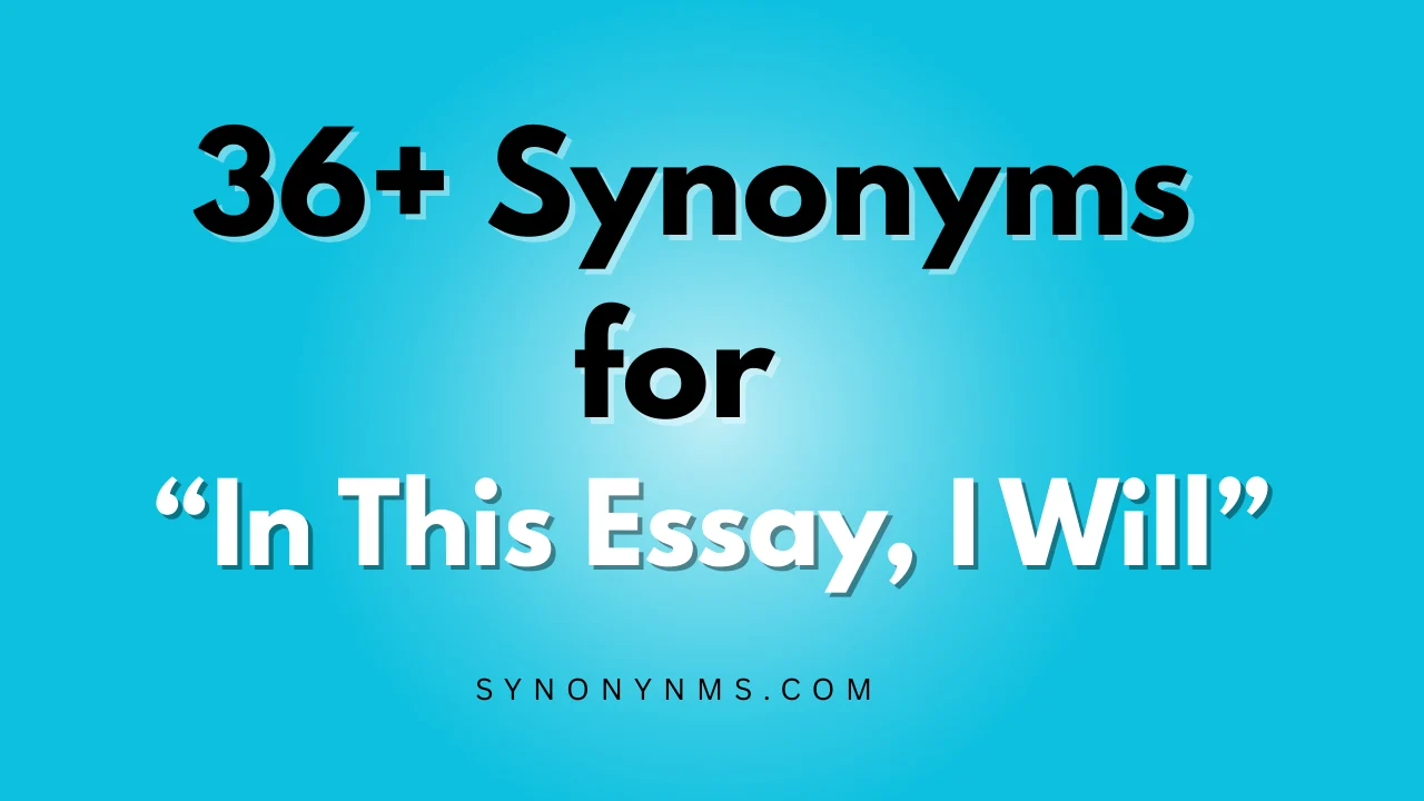 In This Essay, I Will