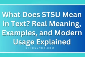 STSU Mean in Text