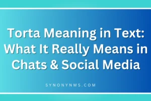 Torta Meaning in Text