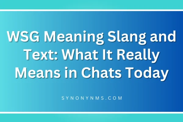 WSG Meaning Slang and Text
