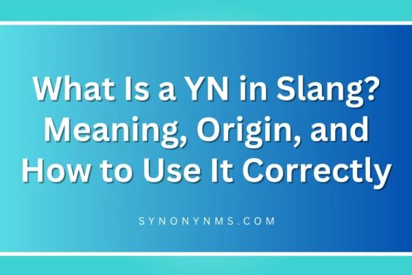 YN in Slang