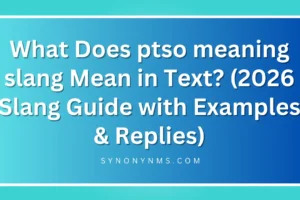 ptso meaning slang Mean in Text