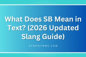 SB Mean in Text