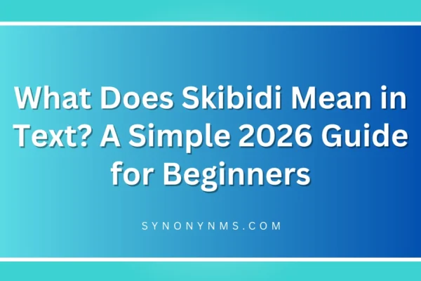 Skibidi Mean in Text