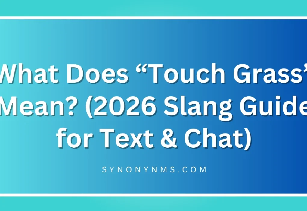 “Touch Grass” Mean