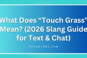 “Touch Grass” Mean