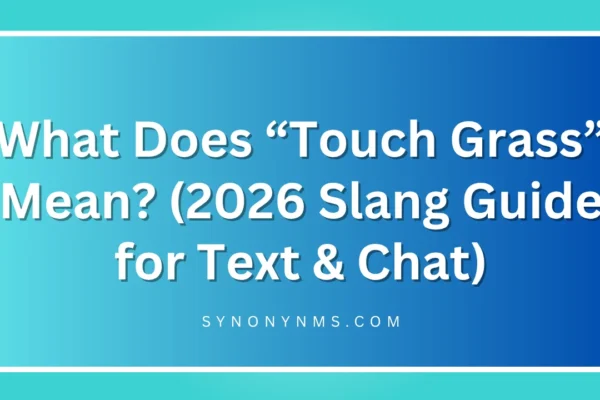 “Touch Grass” Mean