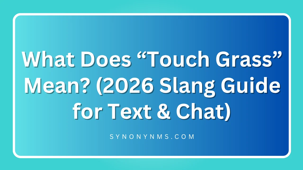 “Touch Grass” Mean