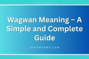 Wagwan Meaning