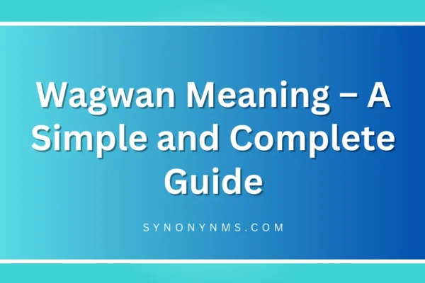 Wagwan Meaning